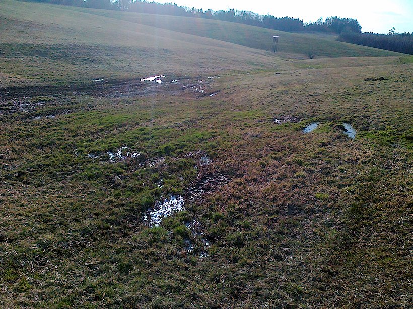 prameniště U Smrčiny (6658) - duben 2013