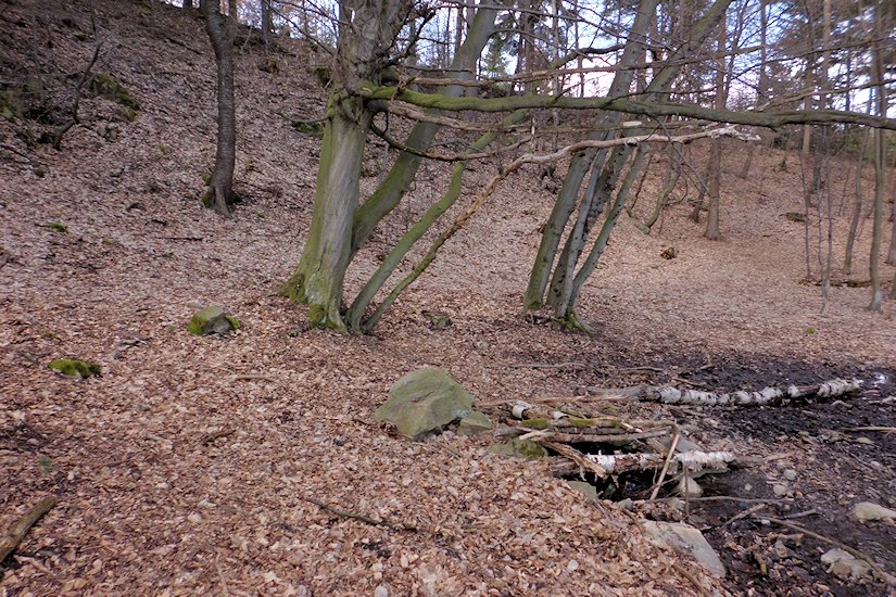 studánka bez jména (6698) - duben 2013
