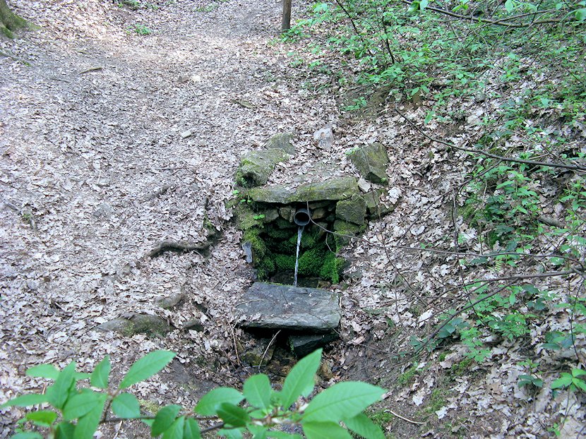 pramen Pod Lustenkem (6738) - květen 2013