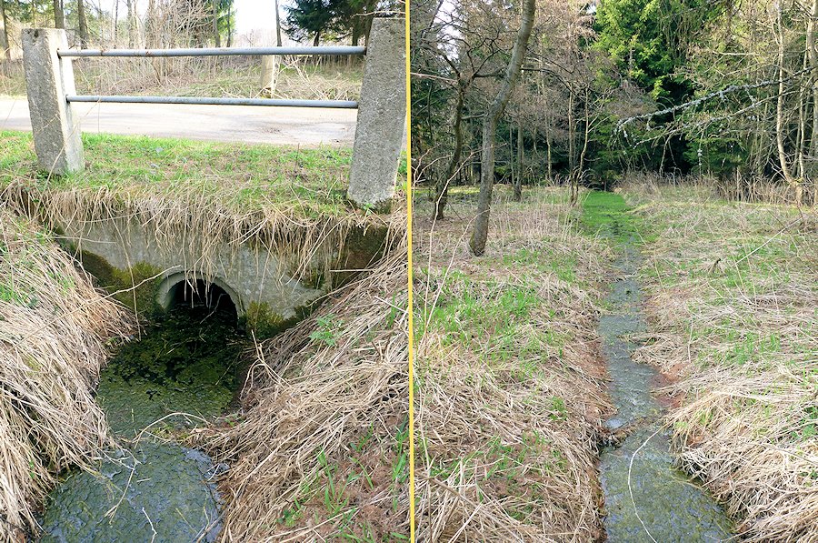 pramen Na pastvinách (6749) - květen 2013