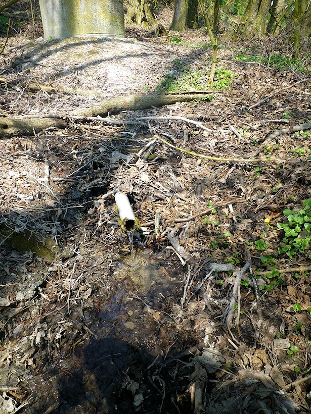 studánka Nad rybníčkem (6774) - květen 2013
