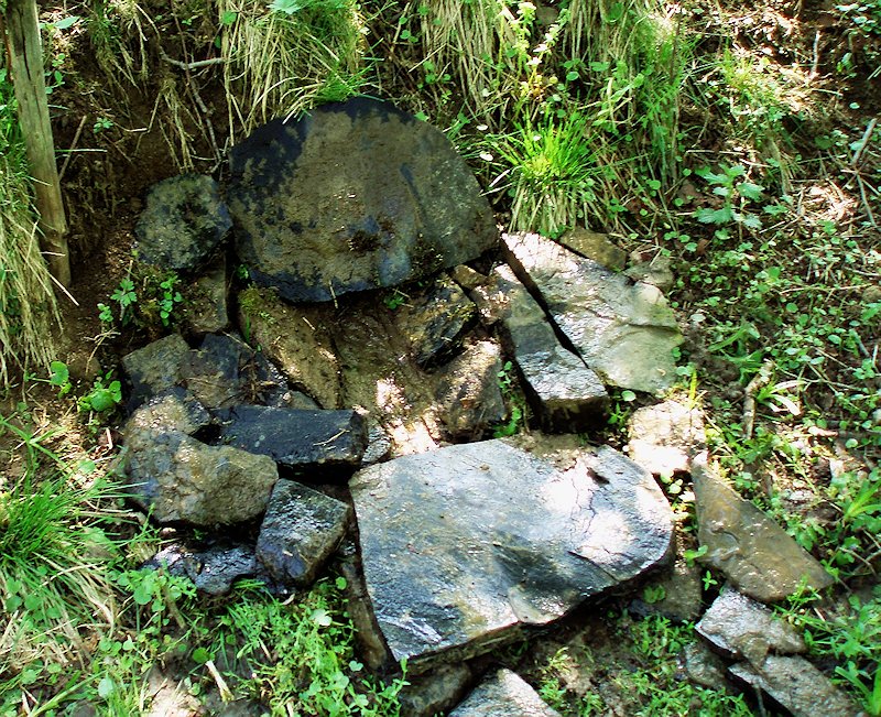 studánka Studnička (6777) - květen 2013