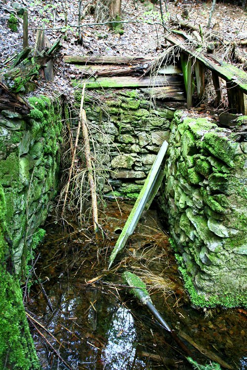 Studánka U Michla (6806) - květen 2013