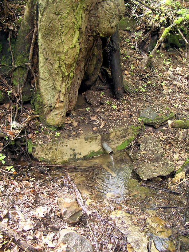 studánka Modrá voda (6815) - květen 2013