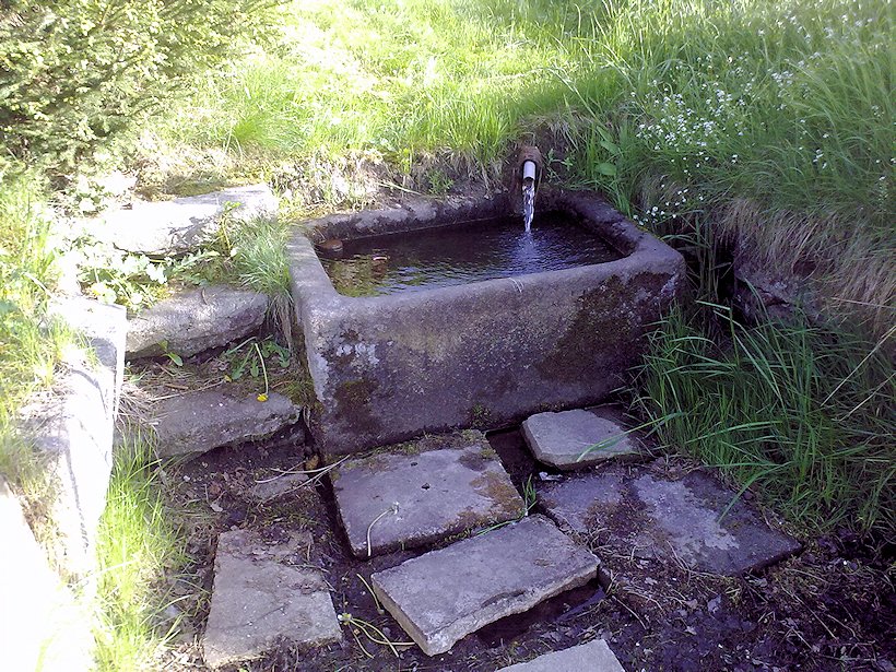 studánka bez jména (6829) - květen 2013