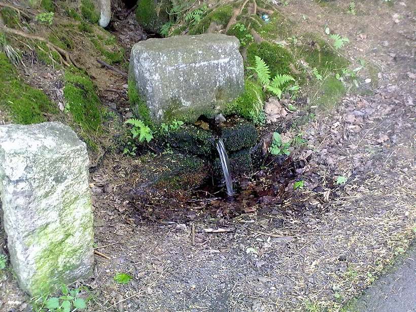 Breuerova studánka (6831) - květen 2013