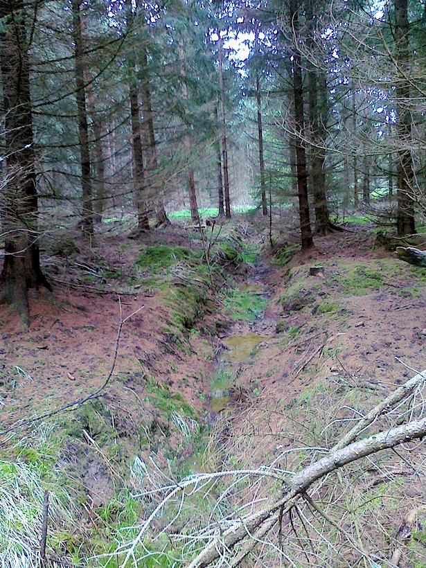 studánka Pramen Nového potoka (6837) - květen 2013