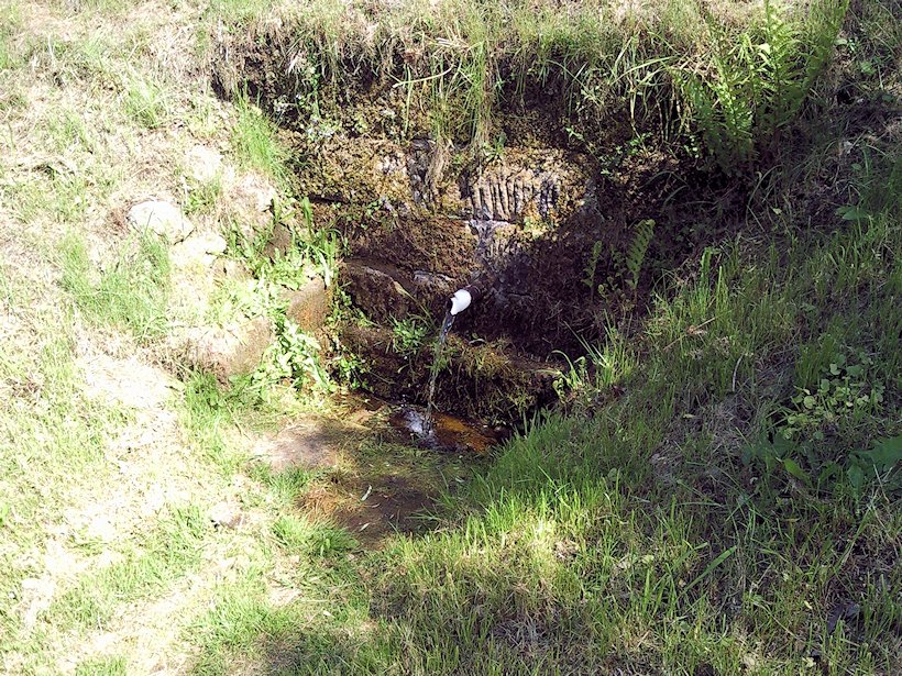 studánka bez jména (6841) - květen 2013