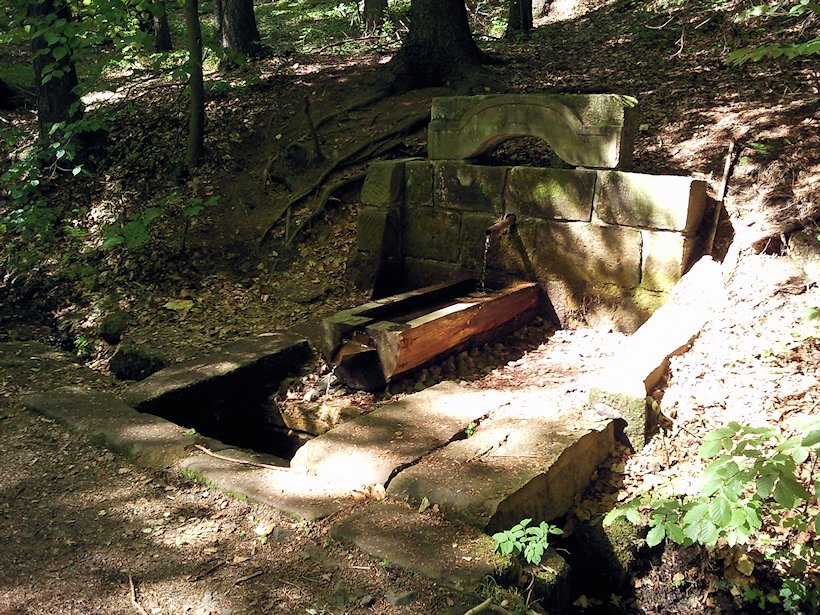 studánka Doubravice (6843) - květen 2013