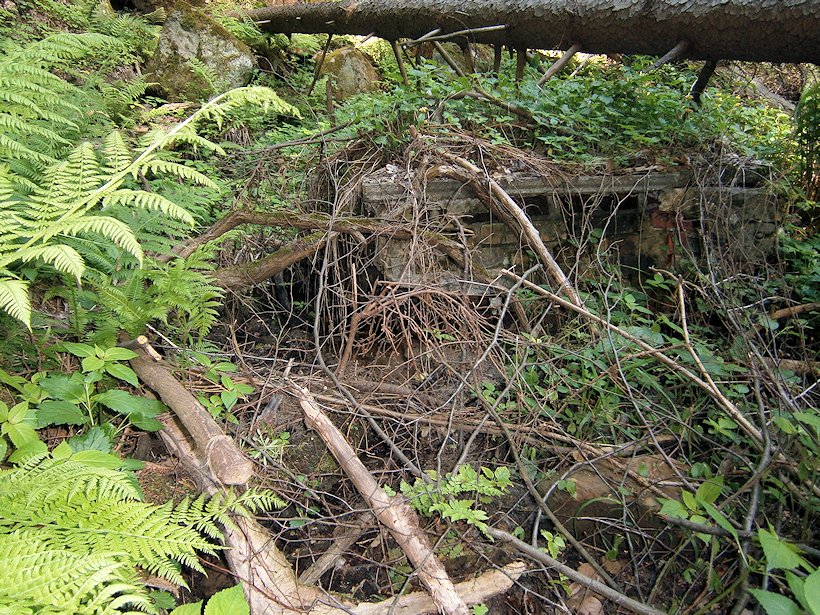 studánka bez jména (6844) - květen 2013