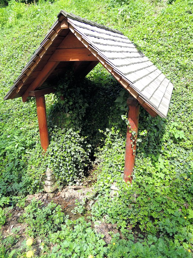 studánka Pod Starou horou (6848) - květen 2013