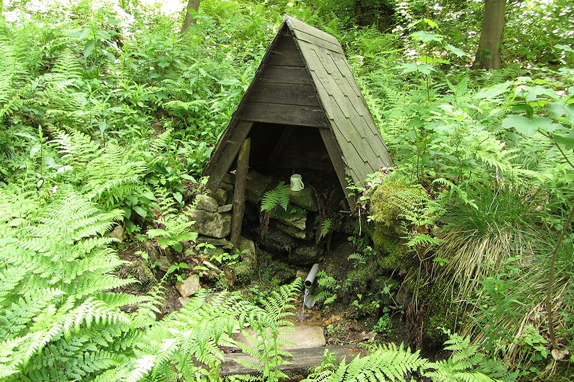 Pekelská studánka (6849) - květen 2013