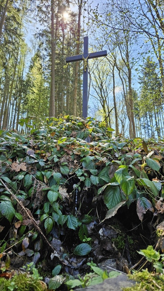studánka Na kostelní (6878) - duben 2025
