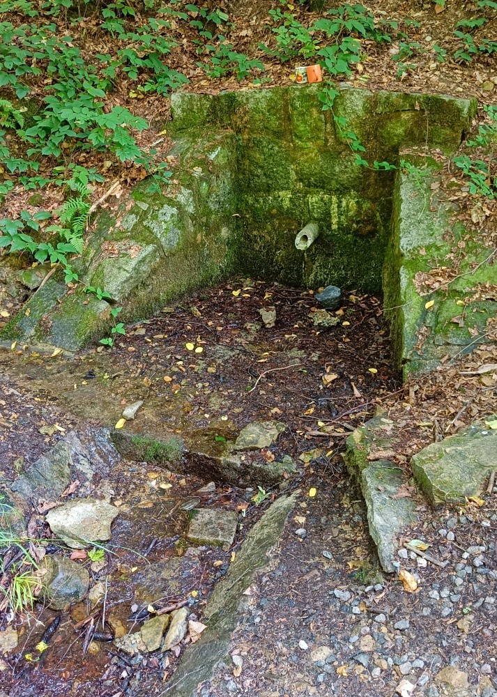 studánka V Údolí Sejfů (6881) - srpen 2025