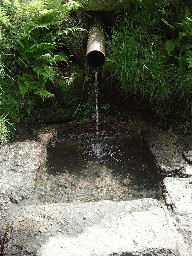studánka U obrázku (6883) - srpen 2022