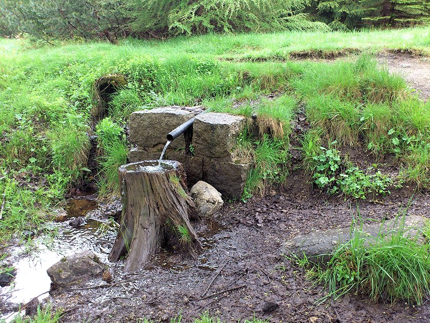 studánka bez jména (6885) - květen 2013