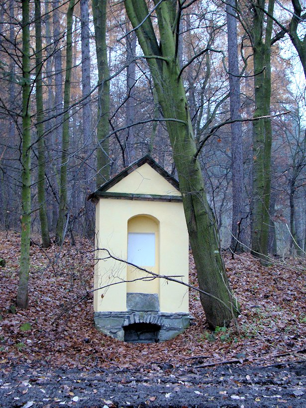 studánka U Pnětlucké hájovny (6886) - květen 2013