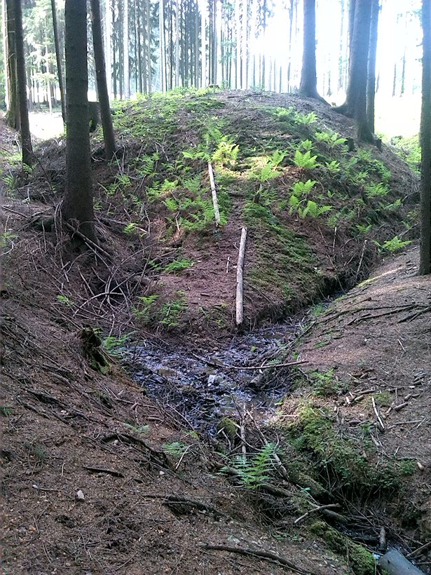 Pramen Vadětínského potoka (6893) - květen 2013