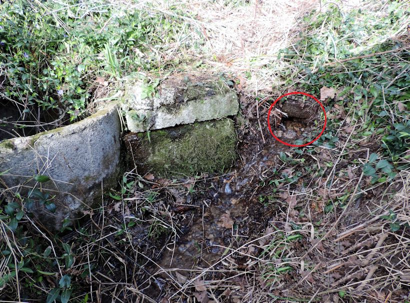 studánka Pod můstkem (6894) - datum neznámé