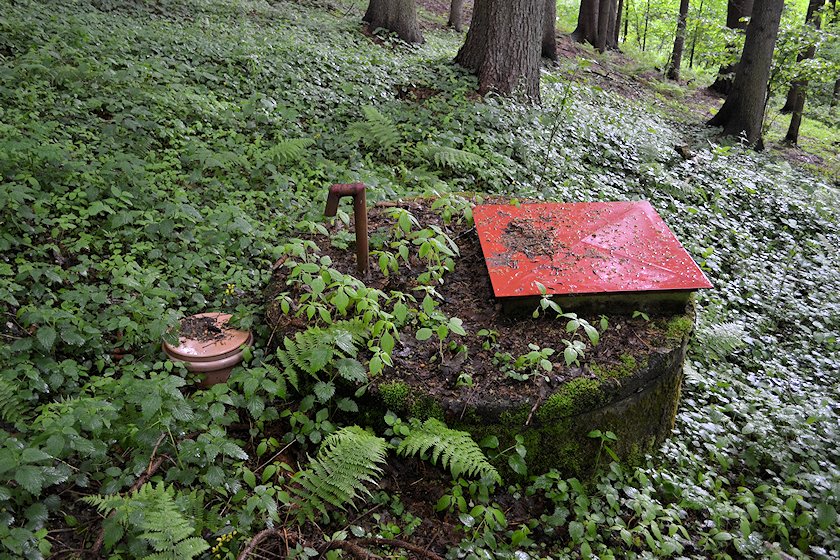jiný vodní zdroj bez jména (6909) - červen 2013