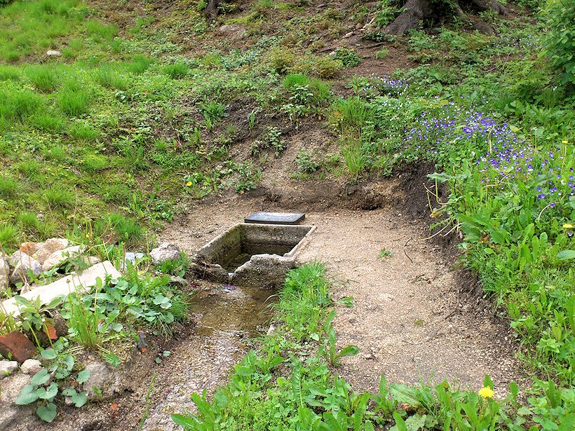 studánka bez jména (6920) - červen 2013