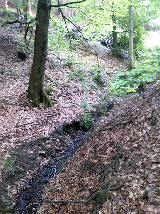 pramen V Čertově brázdě (6931) - červen 2013