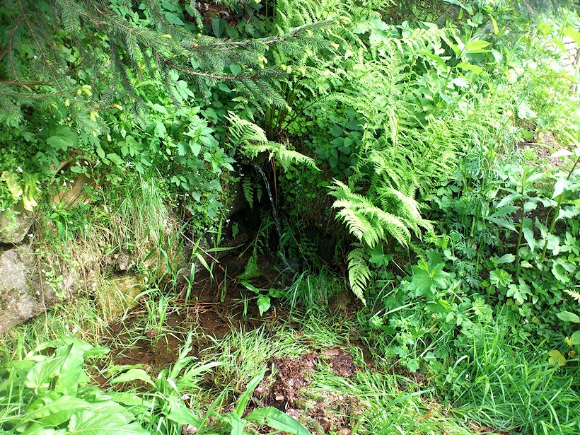 studánka bez jména (6932) - červen 2013