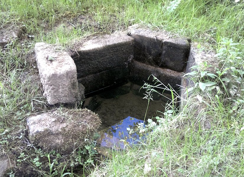studánka bez jména (6936) - červen 2013