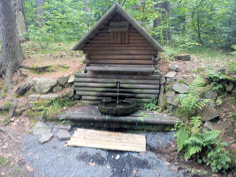 studánka Podševcovská (6944) - červen 2013