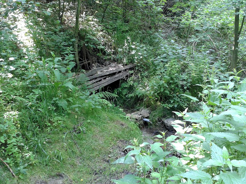 Studánka v Hájku (6946) - červen 2013