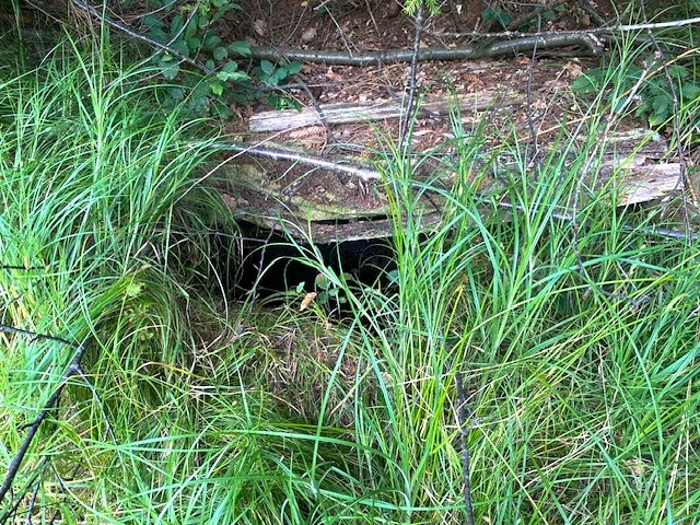 studánka Nad Milkovskou stružkou (6950) - datum neznámé