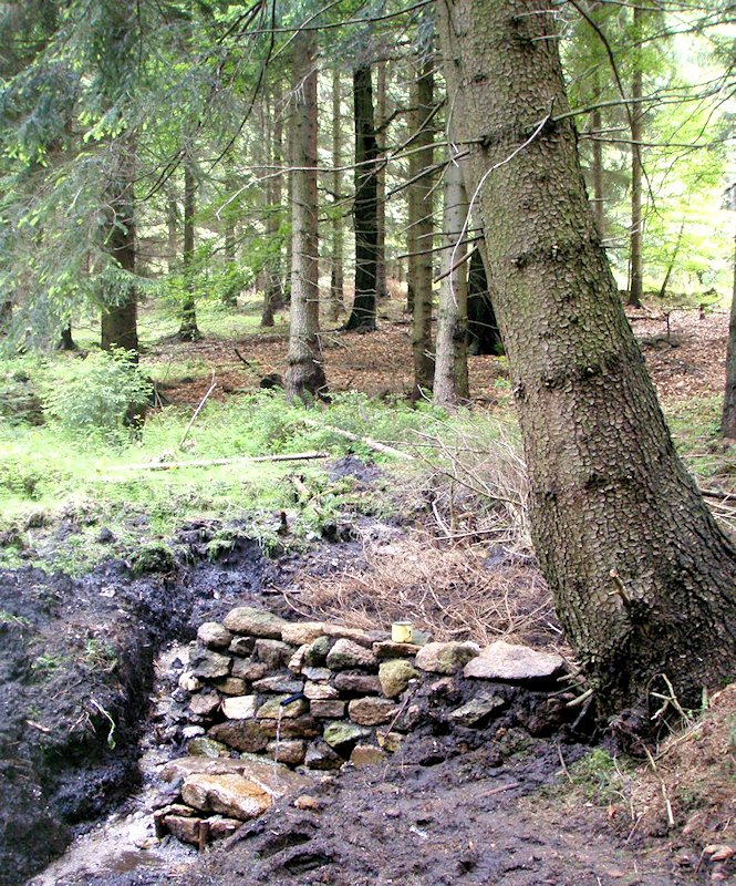 Kančí pramen (6951) - červen 2013