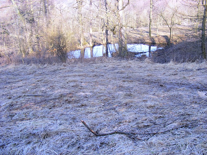 Prameniště Pokratického potoka (6957) - červen 2013