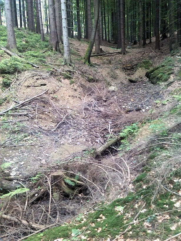 prameniště Pod Palicí (6959) - červen 2013