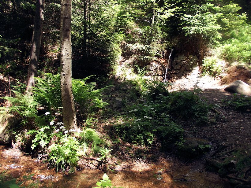 jiný vodní zdroj bez jména (6963) - červen 2013