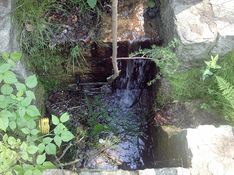 studánka bez jména (6983) - červen 2013