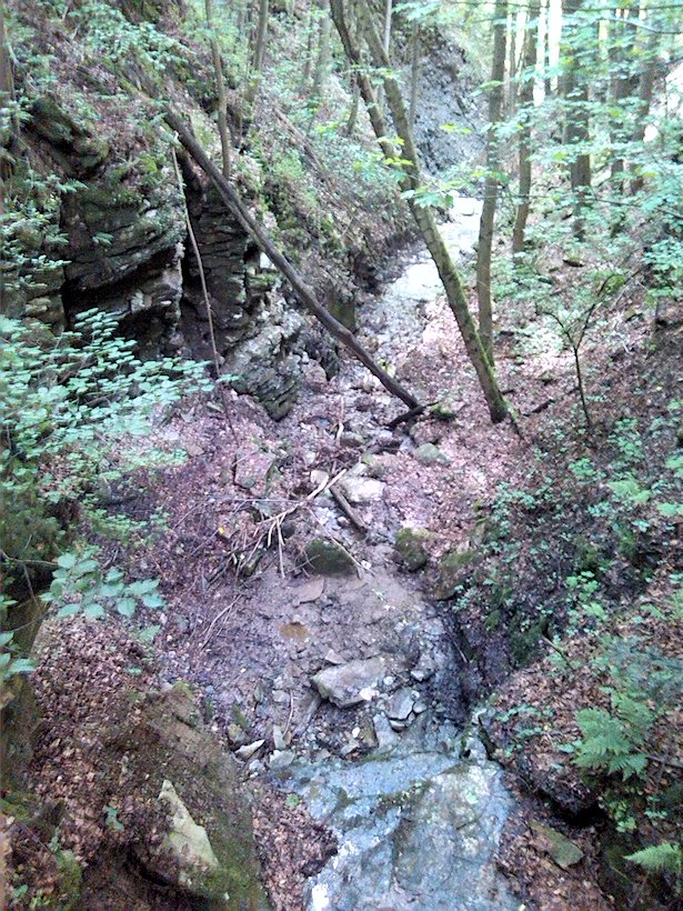 pramen U Čertovy lávky (7003) - červen 2013