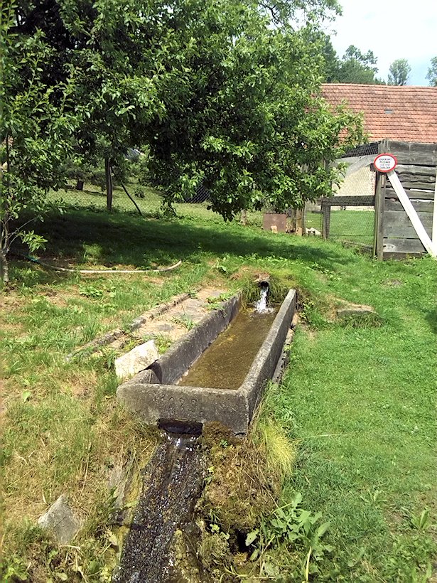 studánka V Javorníčku (7014) - červen 2013