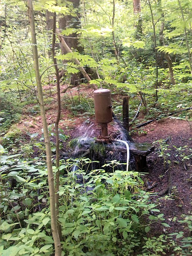 studánka Trkač pod pískovnou (7054) - červenec 2013