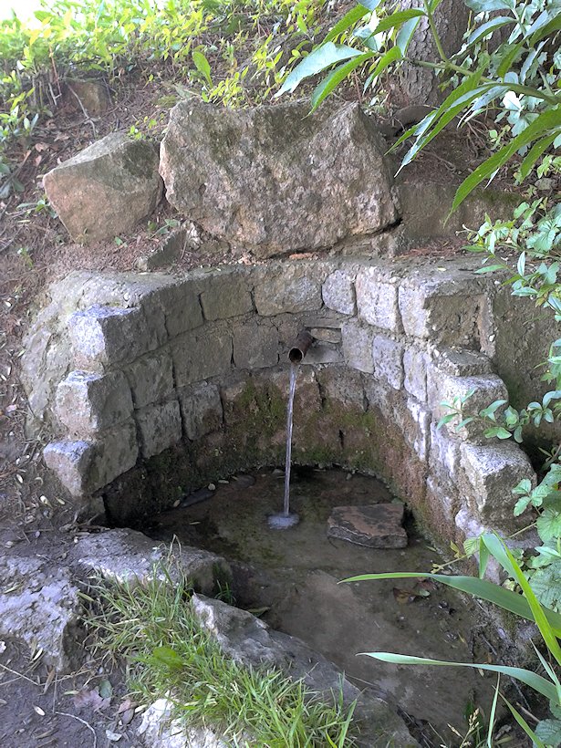 studánka U Šimkové skale (7058) - červenec 2013