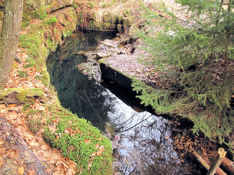studánka bez jména (7063) - červenec 2013