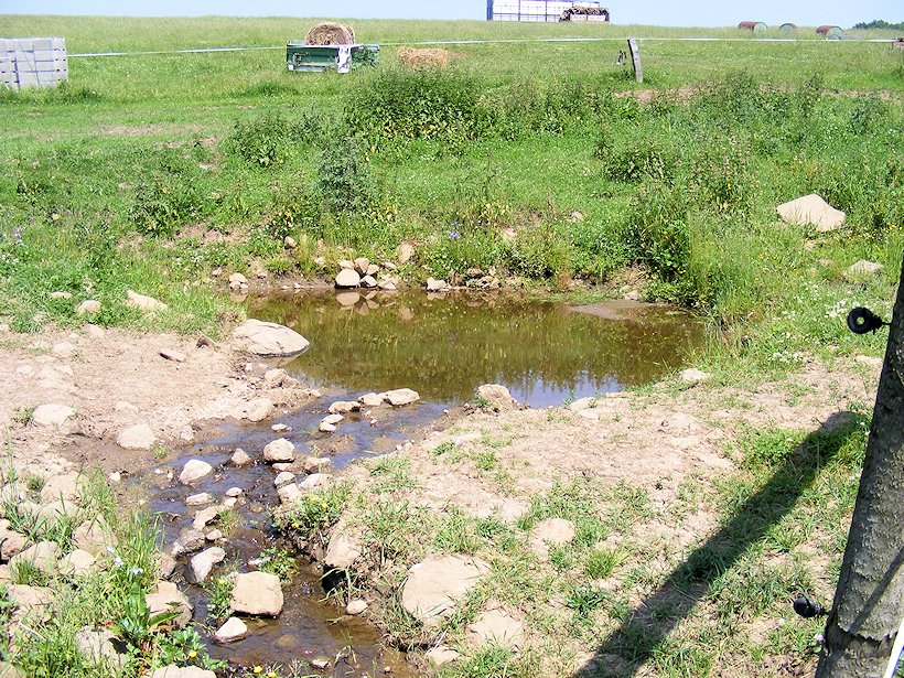 prameniště bez jména (7075) - červenec 2013