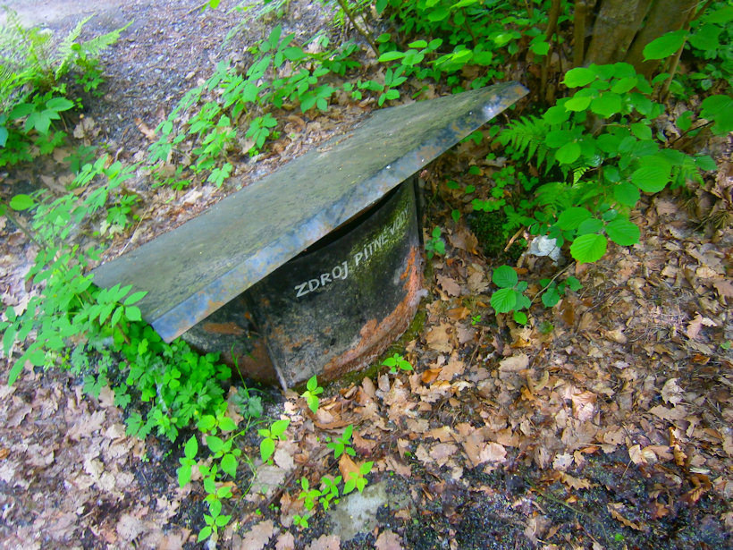 studánka bez jména (7094) - květen 2019