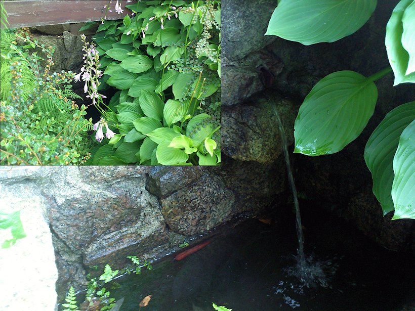 studánka bez jména (7108) - červenec 2013
