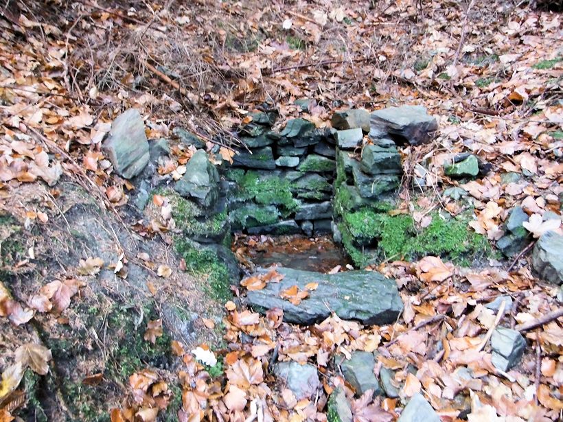 studánka Pod Jankovem (7113) - datum neznámé