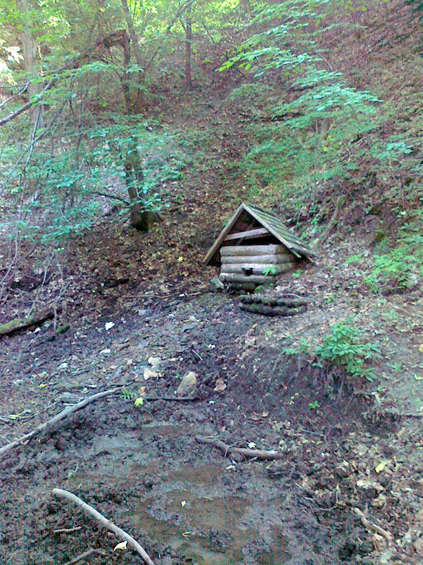 studánka Pod Mysliveckou chatou (7126) - červenec 2013
