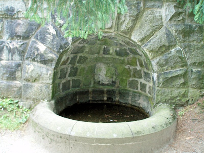 studánka bez jména (7163) - červenec 2013