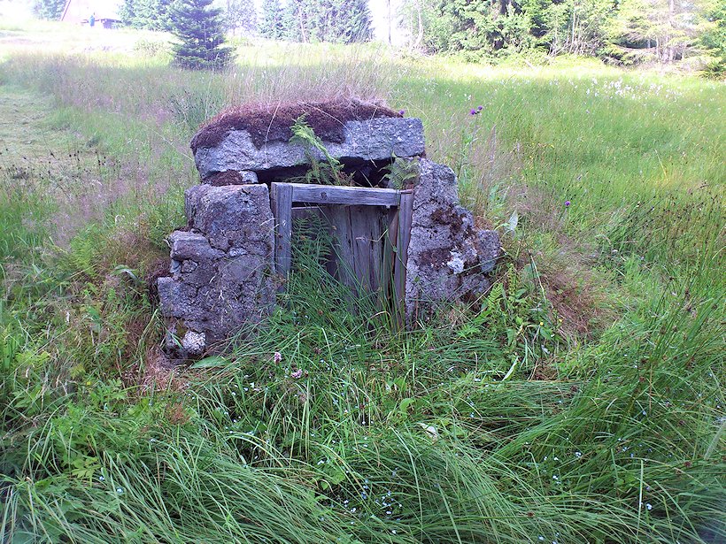 studánka bez jména (7165) - červenec 2013