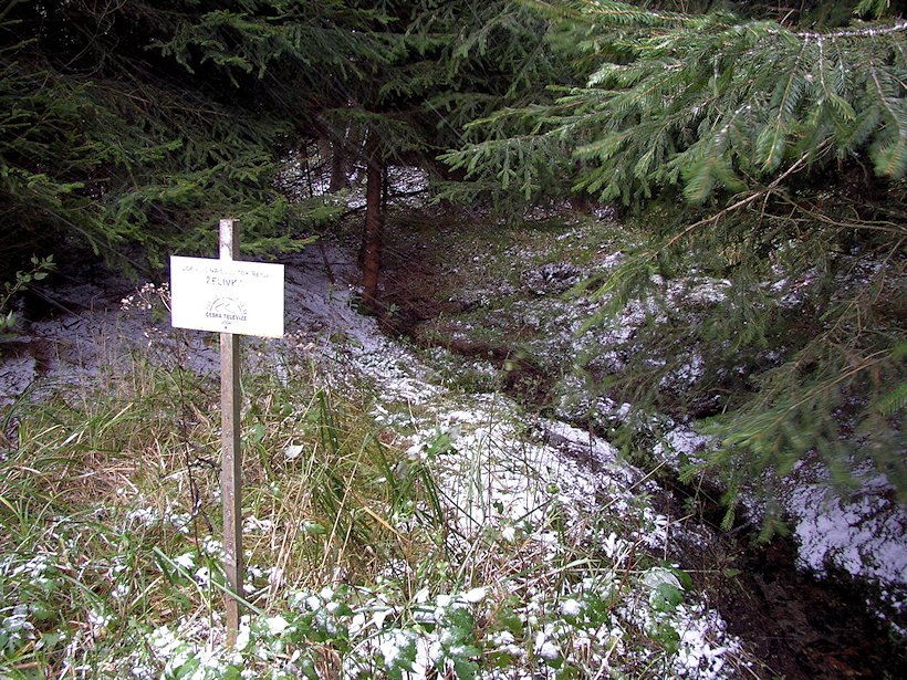 prameniště Hejlovka (Želivka) (7171) - červenec 2013