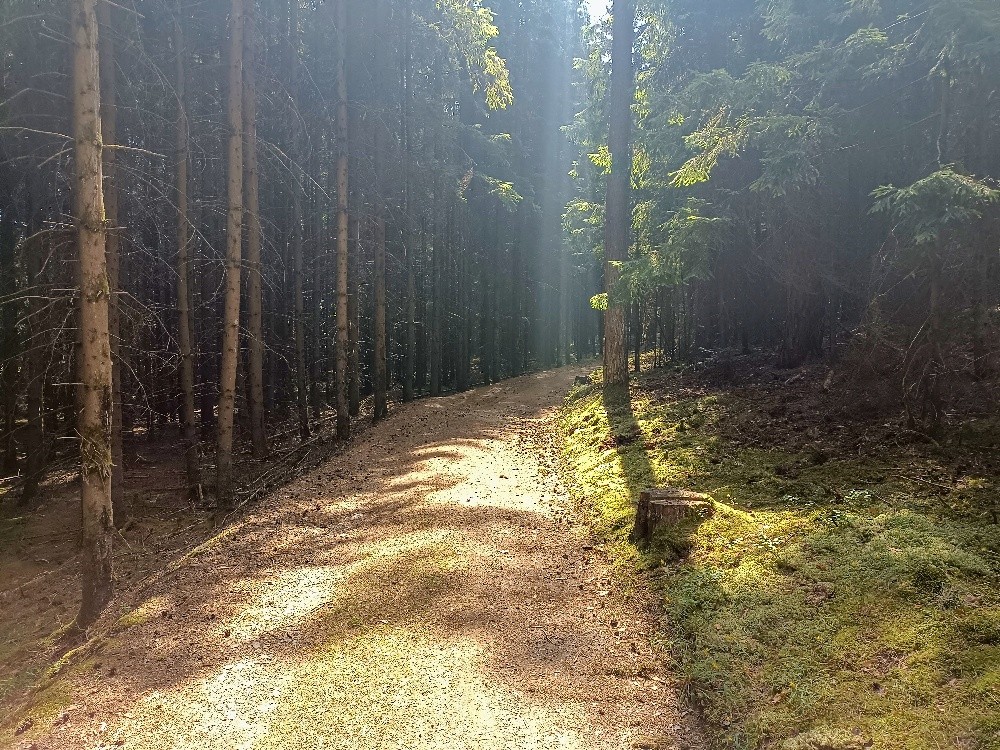 studánka U Čankovského mlýna (7191) - červenec 2025